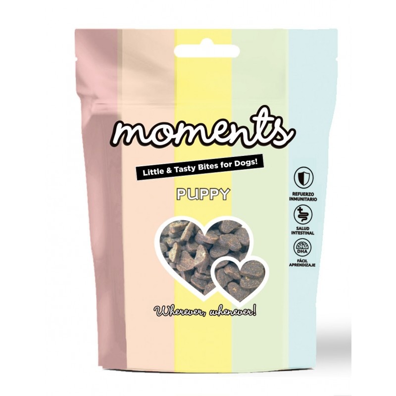 moments-dogs-puppy
