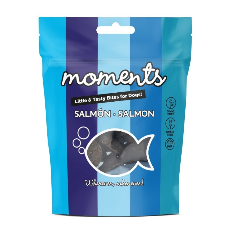 moments-dogs-salmon